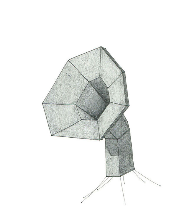 drawing of a gramophone-like abstract shape